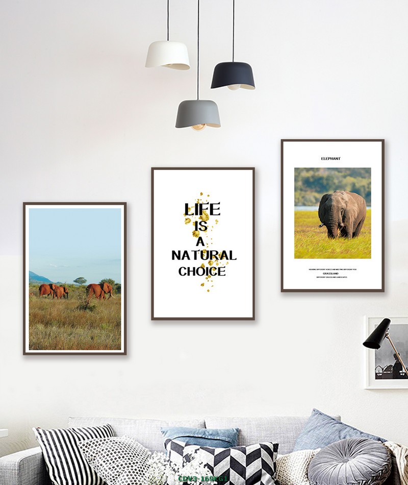 Động vật CDV3-169KG1